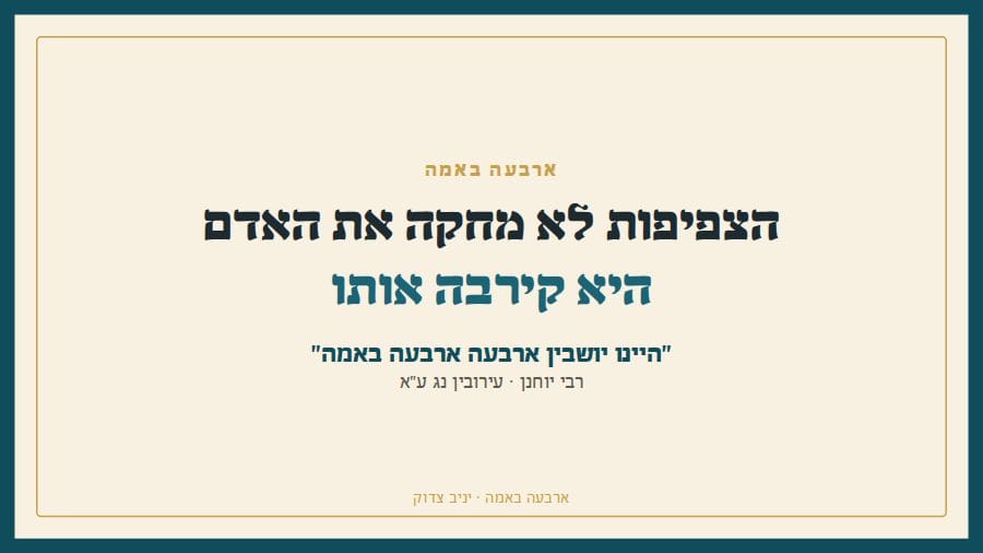 ארבעה באמה: הצפיפות לא מחקה את האדם, היא קירבה אותו