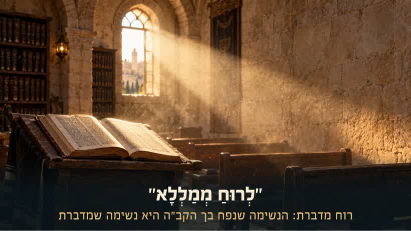 קרן אור של בוקר בבית מדרש ישן, נופלת על ספר פתוח