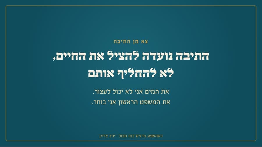 התיבה נועדה להציל את החיים, לא להחליף אותם